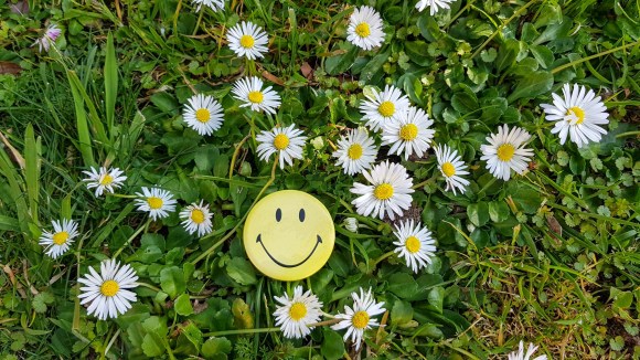 smiley face & daisies / Friday postscript 14.9.2018 / 109